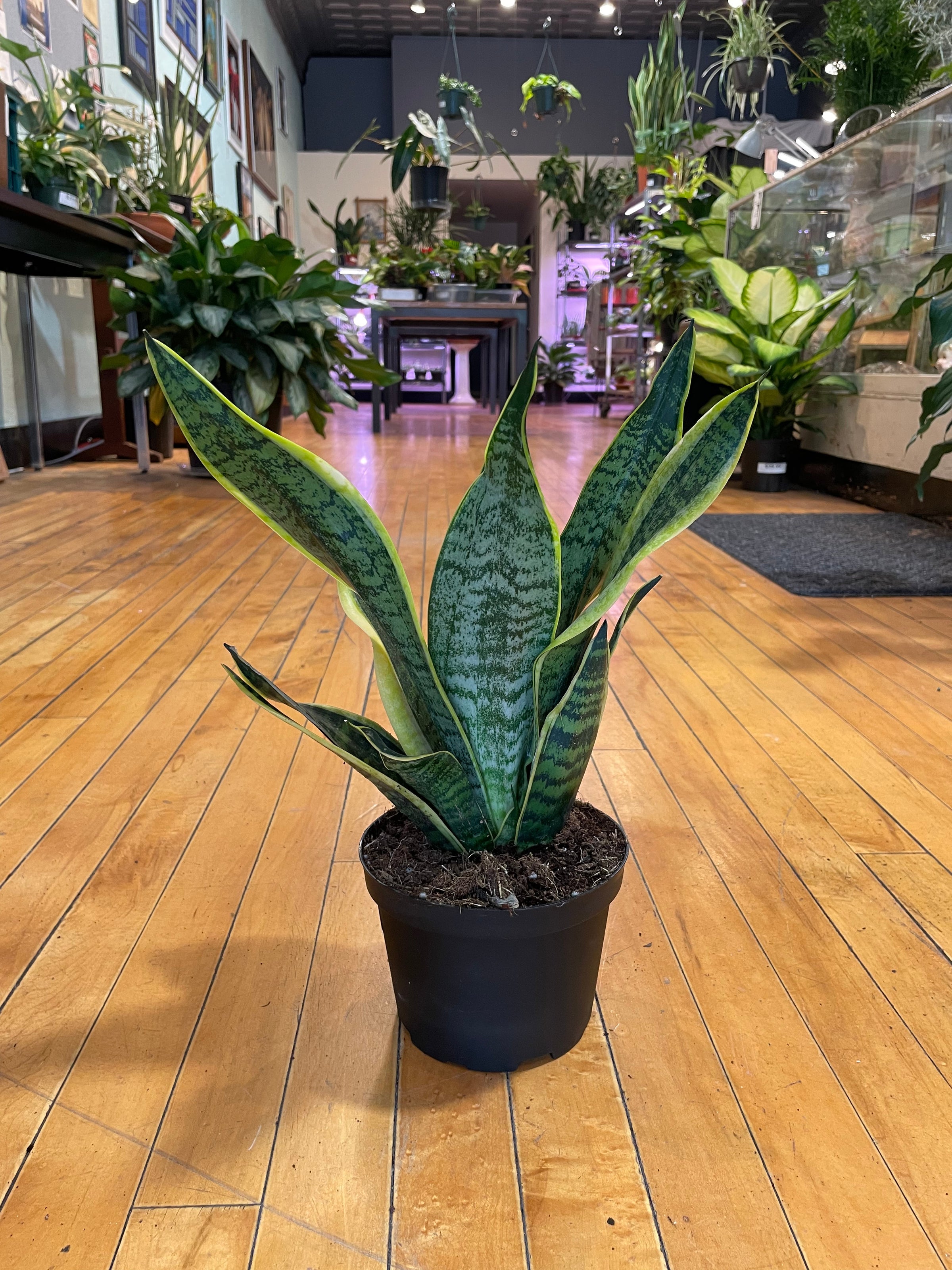 outdoor pots for plants Outsunny 3-Piece 28